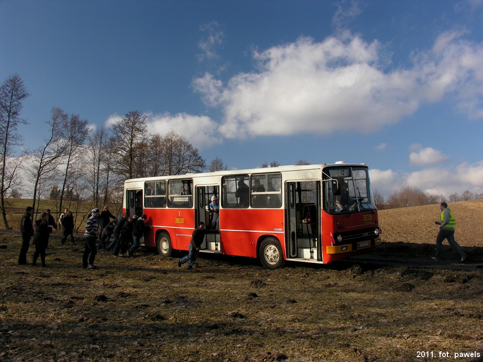 Ikarus 260.04 #28339