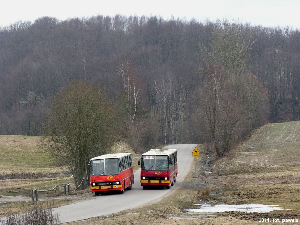 Ikarus 260.04 #28339