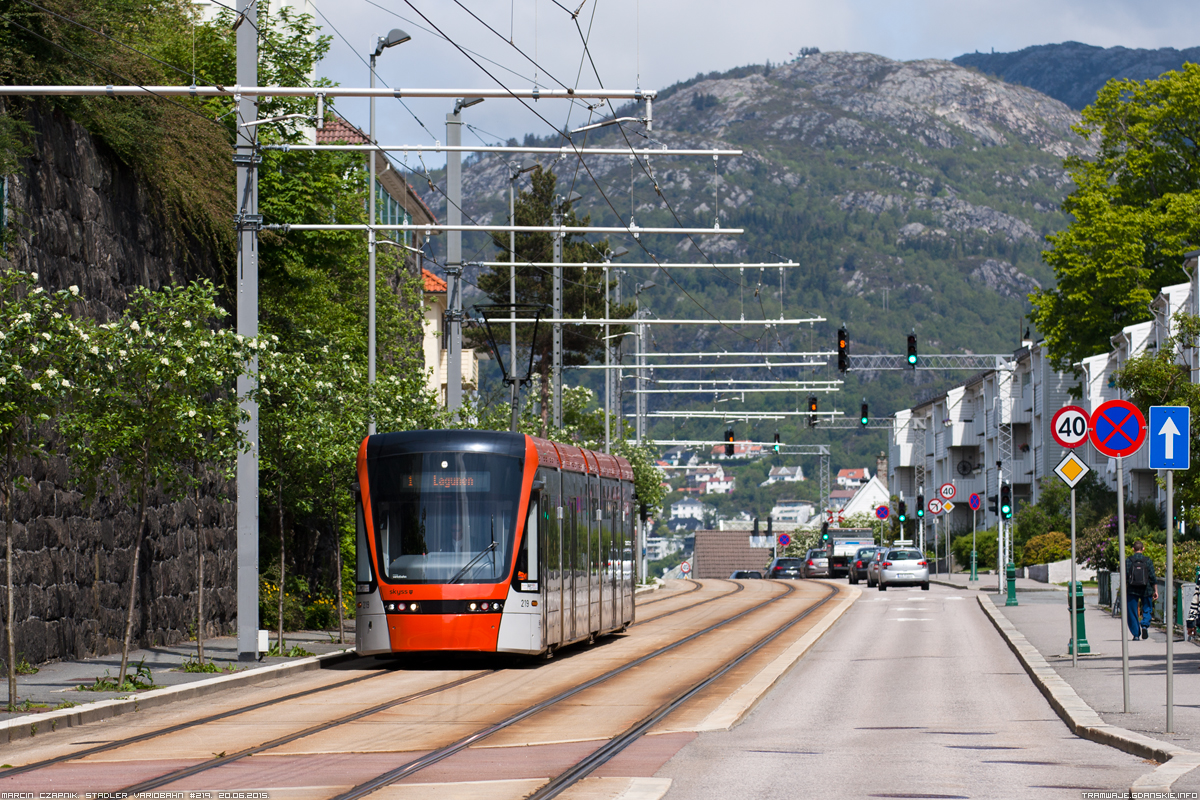 Stadler Variobahn #219